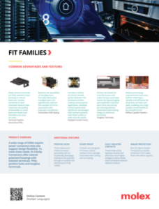 Fit Families Brochure Cover